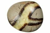 Polished Septarian Stones - 1.5" Size - Photo 4